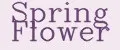 Spring Flower