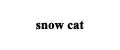Snow Cat