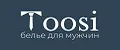 Toosi