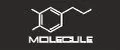 Molecule