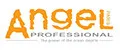 Angel Professional