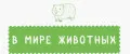 Коврики для животных