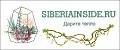 Siberia Inside