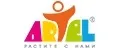 Artel
