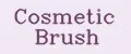 Cosmetic brush