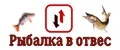 Рыбалка в отвес