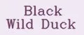 Black Wild Duck
