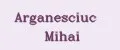 Arganesciuc Mihai