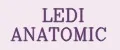 LEDI ANATOMIC