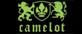 Аналитика бренда Camelot на Wildberries