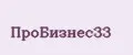 ПроБизнес33