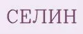 Селин