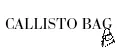 CALLISTO BAG