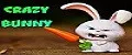 Сrazy bunny