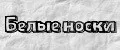 Аналитика бренда Белые носки на Wildberries