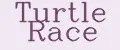 Turtle Race