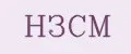 НЗСМ