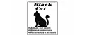 Black Cat