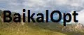 BaikalOpt