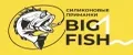 BIG FISH