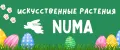Аналитика бренда ИСКУССТВЕННЫЕ ЦВЕТЫ NUMA на Wildberries