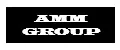 AMM GROUP