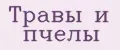 травы и пчелы