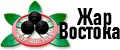 Жар Востока