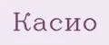 касио