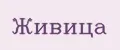 ЖИВИЦА