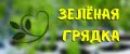 Зеленая грядка