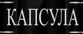 Капсула