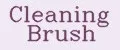 Cleaning Brush