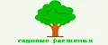 Садовые Растения