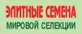 Элитные семена