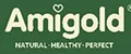 AmiGold