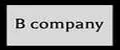 B company