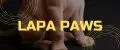 Аналитика бренда lapa Paws на Wildberries