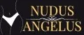 Аналитика бренда NUDUS ANGELUS на Wildberries