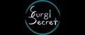 SurgiSecret