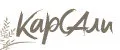 КарСАли