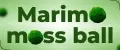 Аналитика бренда Marimo moss ball на Wildberries