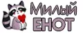Милый енот