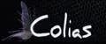 Colias