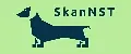 SkanNST