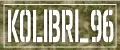 Kolibri_96