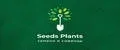Seeds Plants