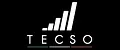 TECSO