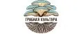 Грибная Культура