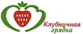 Клубничная грядка